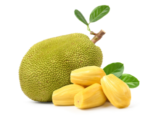 National Fruit Jackfruit